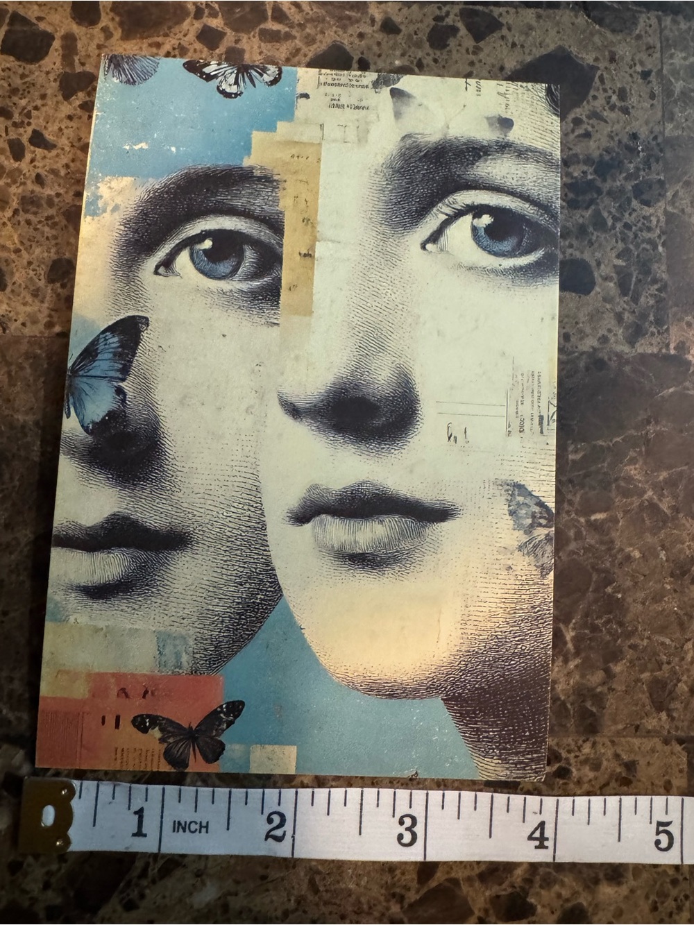 Dual-Face Butterfly Art Print